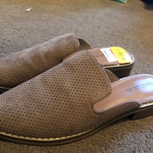 Indigo Flats- Brand New